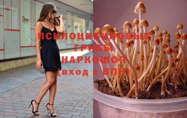 бутират Алзамай