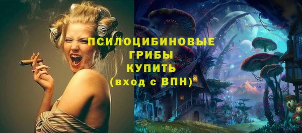 бутират Алзамай
